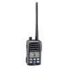 IC-M87
