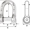 Allen Head Pin Shackles
